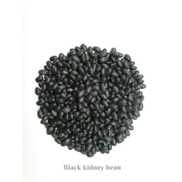 Chinesische Qualitäts-schwarze Kidney-Bohne